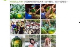 各大高校免费吃瓜视频,免费吃瓜视频带你一网打尽校园新鲜事