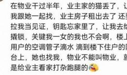 正经免费吃瓜群,揭秘网络社交新潮流